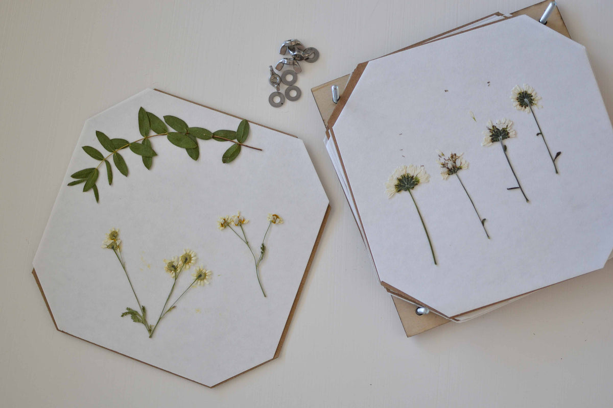 Flower press craft kit
