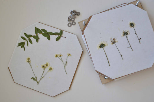 Flower press craft kit